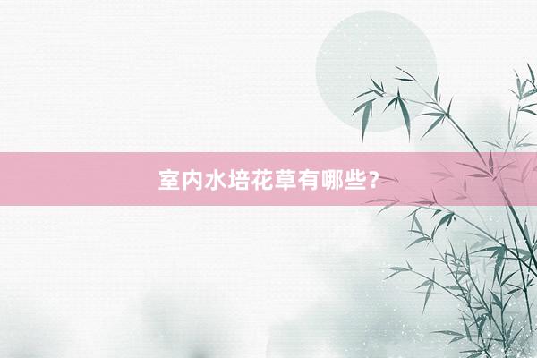 室内水培花草有哪些？